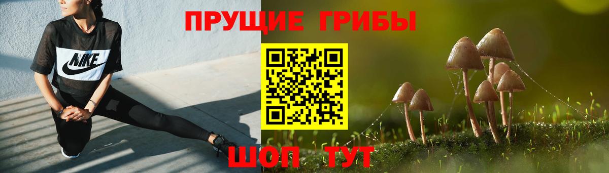 Псилоцибиновые грибы мухоморы  купить наркотик  Черкесск  Вход с VPN 